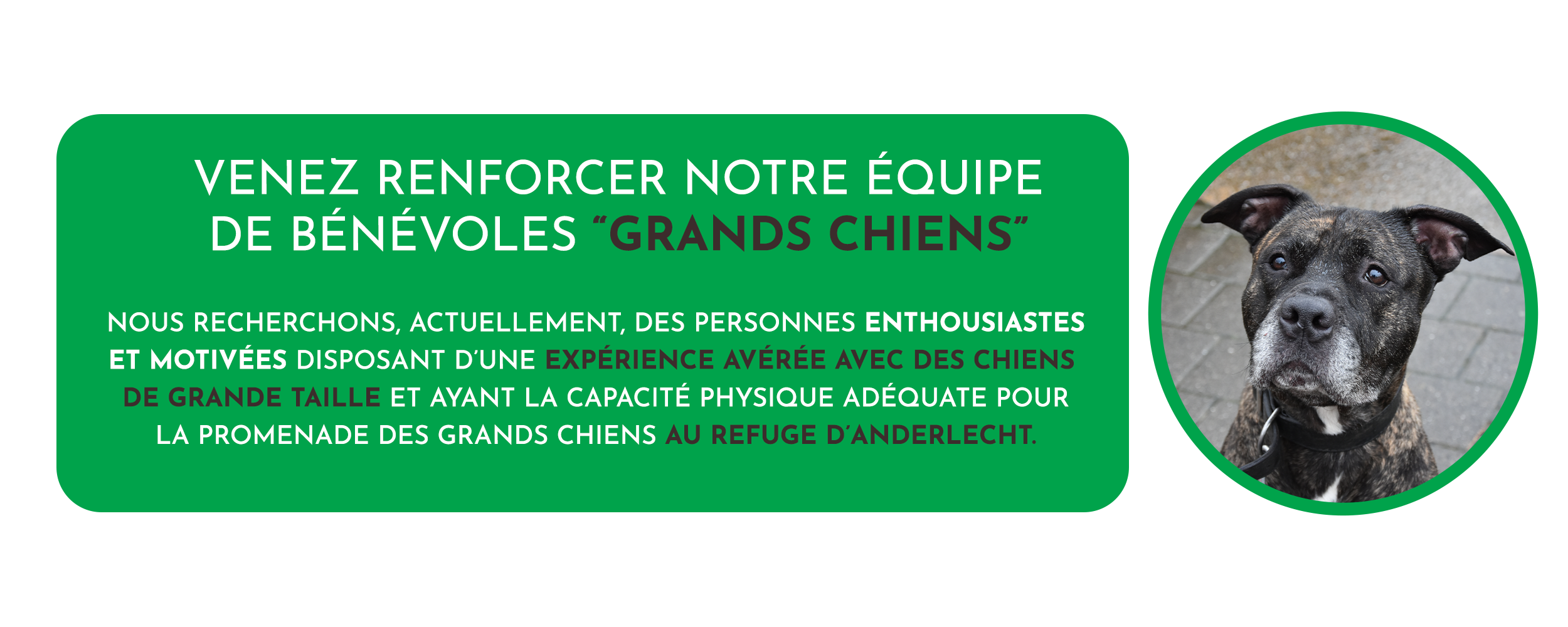 TEXTE_FR
