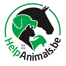 Help Animals